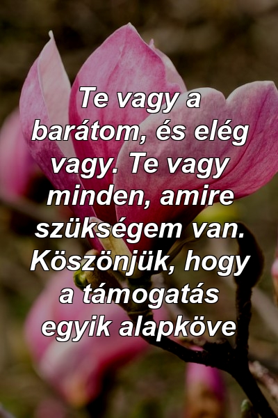 Te vagy a barátom, és elég vagy. Te vagy minden, amire szükségem van. Köszönjük, hogy a támogatás egyik alapköve