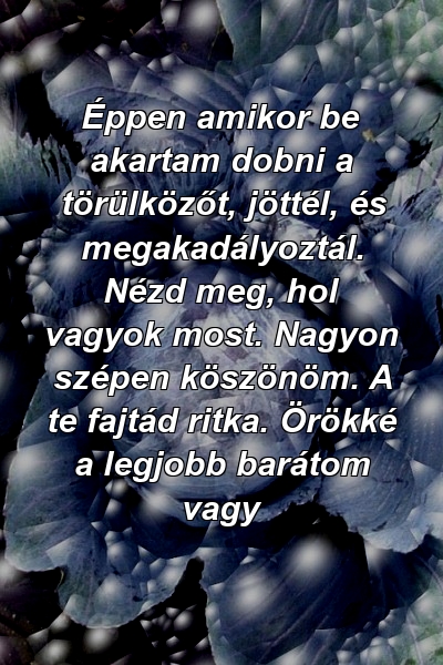 Éppen amikor be akartam dobni a törülközőt, jöttél, és megakadályoztál. Nézd meg, hol vagyok most. Nagyon szépen köszönöm. A te fajtád ritka. Örökké a legjobb barátom vagy