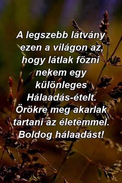 A legszebb látvány ezen a világon az, hogy látlak főzni nekem egy különleges Hálaadás-ételt. Örökre meg akarlak tartani az életemmel. Boldog hálaadást!