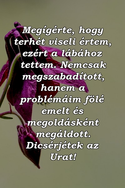 Megígérte, hogy terhét viseli értem, ezért a lábához tettem. Nemcsak megszabadított, hanem a problémáim fölé emelt és megoldásként megáldott. Dicsérjétek az Urat!