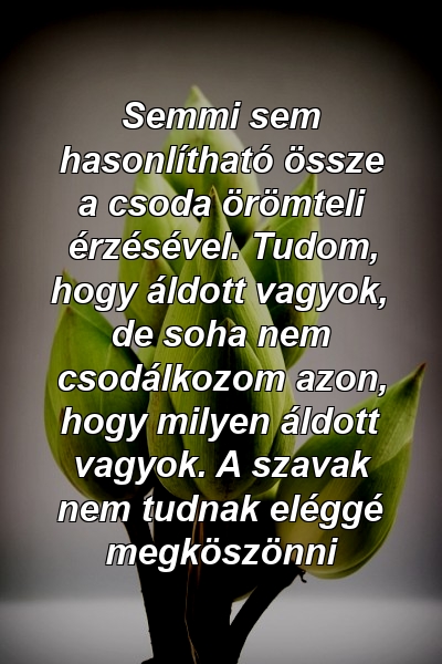 Semmi sem hasonlítható össze a csoda örömteli érzésével. Tudom, hogy áldott vagyok, de soha nem csodálkozom azon, hogy milyen áldott vagyok. A szavak nem tudnak eléggé megköszönni