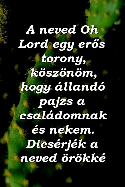 A neved Oh Lord egy erős torony, köszönöm, hogy állandó pajzs a családomnak és nekem. Dicsérjék a neved örökké