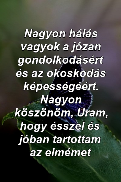 Nagyon hálás vagyok a józan gondolkodásért és az okoskodás képességéért. Nagyon köszönöm, Uram, hogy ésszel és jóban tartottam az elmémet