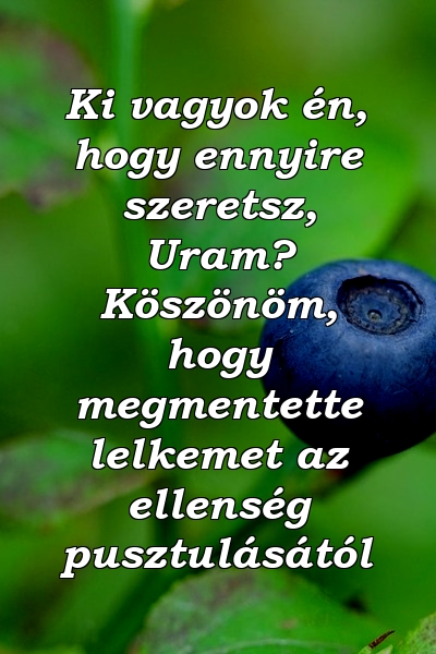 Ki vagyok én, hogy ennyire szeretsz, Uram? Köszönöm, hogy megmentette lelkemet az ellenség pusztulásától