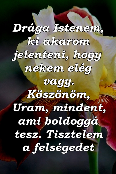 Drága Istenem, ki akarom jelenteni, hogy nekem elég vagy. Köszönöm, Uram, mindent, ami boldoggá tesz. Tisztelem a felségedet