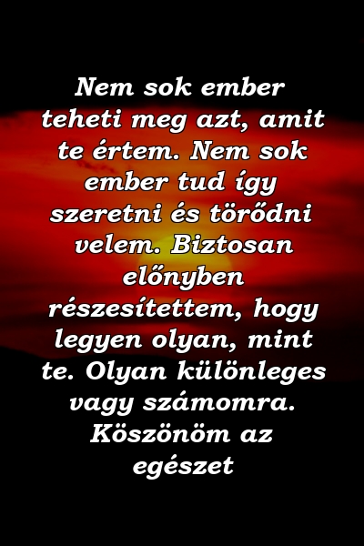 Nem sok ember teheti meg azt, amit te értem. Nem sok ember tud így szeretni és törődni velem. Biztosan előnyben részesítettem, hogy legyen olyan, mint te. Olyan különleges vagy számomra. Köszönöm az egészet