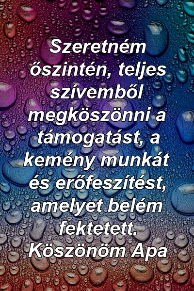 Szeretném őszintén, teljes szívemből megköszönni a támogatást, a kemény munkát és erőfeszítést, amelyet belém fektetett. Köszönöm Apa