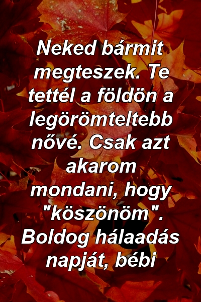 Neked bármit megteszek. Te tettél a földön a legörömteltebb nővé. Csak azt akarom mondani, hogy "köszönöm". Boldog hálaadás napját, bébi