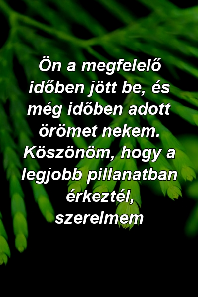 Ön a megfelelő időben jött be, és még időben adott örömet nekem. Köszönöm, hogy a legjobb pillanatban érkeztél, szerelmem