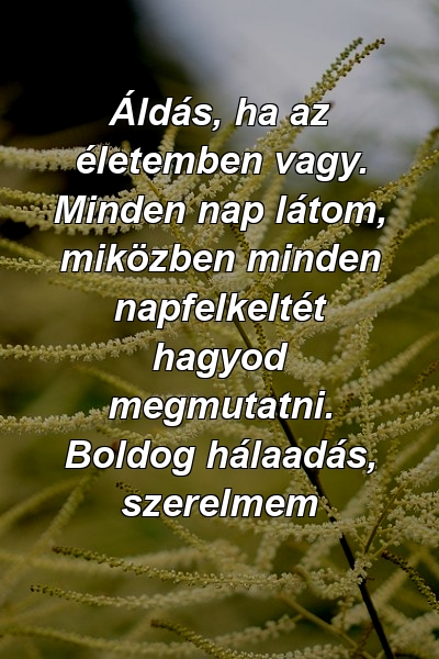 Áldás, ha az életemben vagy. Minden nap látom, miközben minden napfelkeltét hagyod megmutatni. Boldog hálaadás, szerelmem