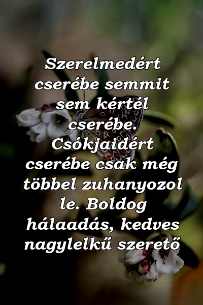 Szerelmedért cserébe semmit sem kértél cserébe. Csókjaidért cserébe csak még többel zuhanyozol le. Boldog hálaadás, kedves nagylelkű szerető