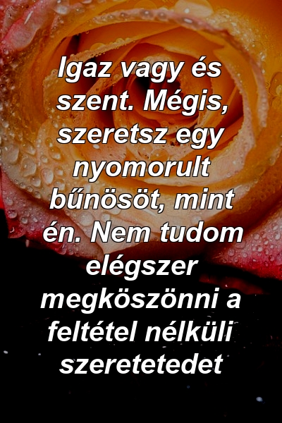 Igaz vagy és szent. Mégis, szeretsz egy nyomorult bűnösöt, mint én. Nem tudom elégszer megköszönni a feltétel nélküli szeretetedet