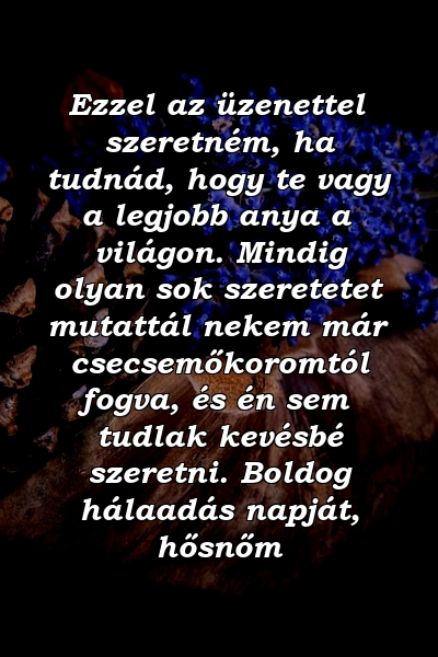 Ezzel az üzenettel szeretném, ha tudnád, hogy te vagy a legjobb anya a világon. Mindig olyan sok szeretetet mutattál nekem már csecsemőkoromtól fogva, és én sem tudlak kevésbé szeretni. Boldog hálaadás napját, hősnőm