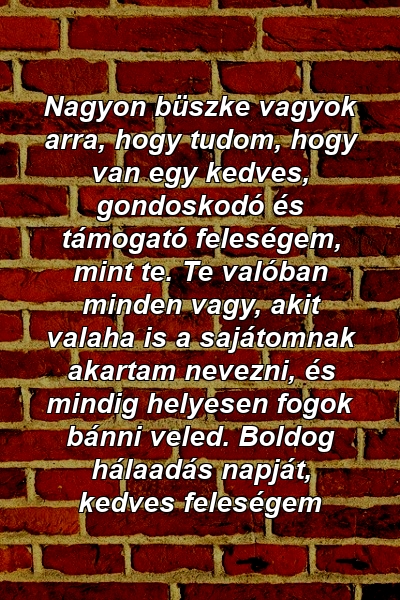 Nagyon büszke vagyok arra, hogy tudom, hogy van egy kedves, gondoskodó és támogató feleségem, mint te. Te valóban minden vagy, akit valaha is a sajátomnak akartam nevezni, és mindig helyesen fogok bánni veled. Boldog hálaadás napját, kedves feleségem