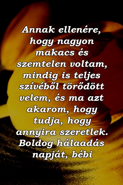 Annak ellenére, hogy nagyon makacs és szemtelen voltam, mindig is teljes szívéből törődött velem, és ma azt akarom, hogy tudja, hogy annyira szeretlek. Boldog hálaadás napját, bébi