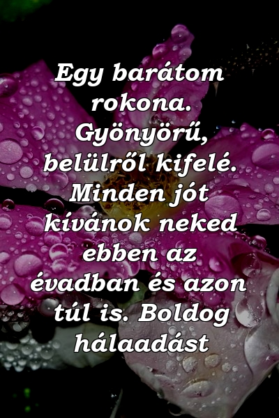 Egy barátom rokona. Gyönyörű, belülről kifelé. Minden jót kívánok neked ebben az évadban és azon túl is. Boldog hálaadást