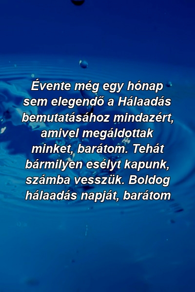 Évente még egy hónap sem elegendő a Hálaadás bemutatásához mindazért, amivel megáldottak minket, barátom. Tehát bármilyen esélyt kapunk, számba vesszük. Boldog hálaadás napját, barátom