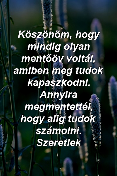 Köszönöm, hogy mindig olyan mentőöv voltál, amiben meg tudok kapaszkodni. Annyira megmentettél, hogy alig tudok számolni. Szeretlek