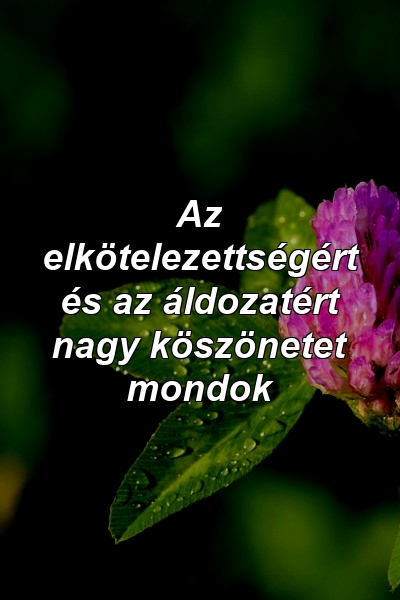 Az elkötelezettségért és az áldozatért nagy köszönetet mondok