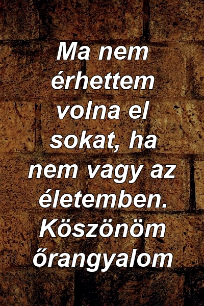 Ma nem érhettem volna el sokat, ha nem vagy az életemben. Köszönöm őrangyalom