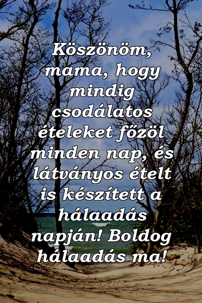 Köszönöm, mama, hogy mindig csodálatos ételeket főzöl minden nap, és látványos ételt is készített a hálaadás napján! Boldog hálaadás ma!