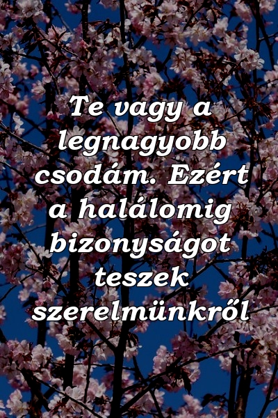 Te vagy a legnagyobb csodám. Ezért a halálomig bizonyságot teszek szerelmünkről