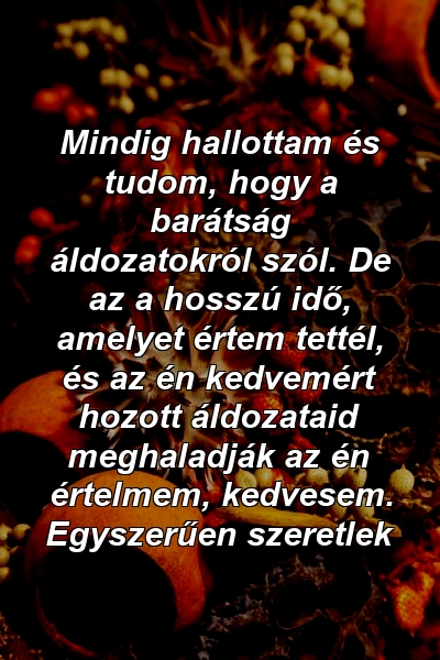 Mindig hallottam és tudom, hogy a barátság áldozatokról szól. De az a hosszú idő, amelyet értem tettél, és az én kedvemért hozott áldozataid meghaladják az én értelmem, kedvesem. Egyszerűen szeretlek