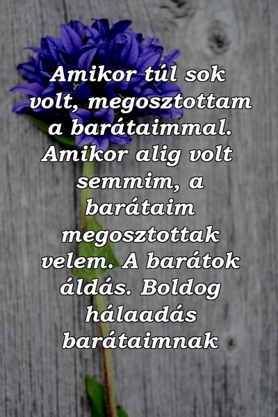 Amikor túl sok volt, megosztottam a barátaimmal. Amikor alig volt semmim, a barátaim megosztottak velem. A barátok áldás. Boldog hálaadás barátaimnak