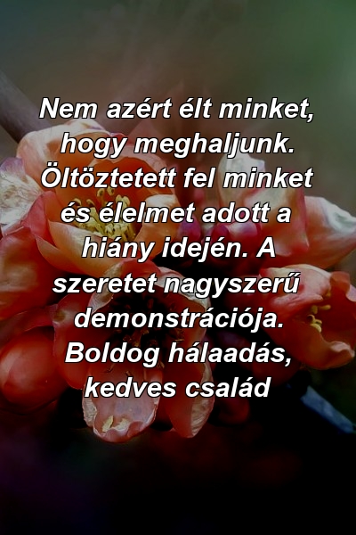 Nem azért élt minket, hogy meghaljunk. Öltöztetett fel minket és élelmet adott a hiány idején. A szeretet nagyszerű demonstrációja. Boldog hálaadás, kedves család