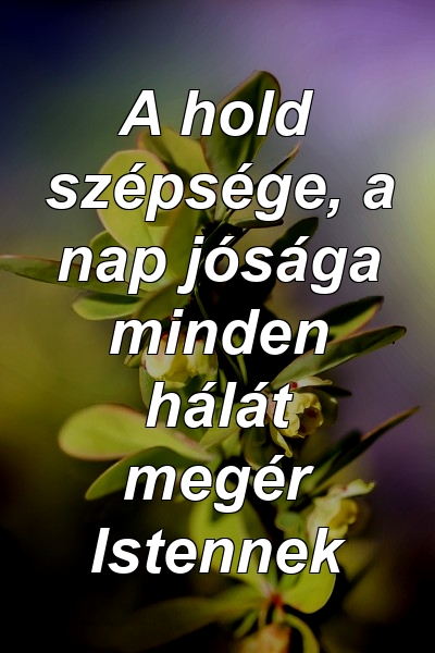 A hold szépsége, a nap jósága minden hálát megér Istennek