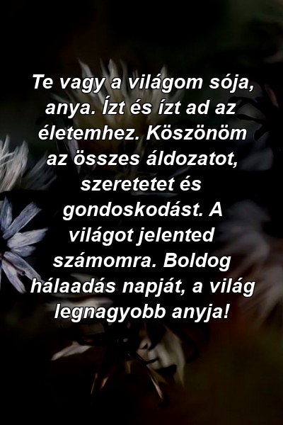 Te vagy a világom sója, anya. Ízt és ízt ad az életemhez. Köszönöm az összes áldozatot, szeretetet és gondoskodást. A világot jelented számomra. Boldog hálaadás napját, a világ legnagyobb anyja!