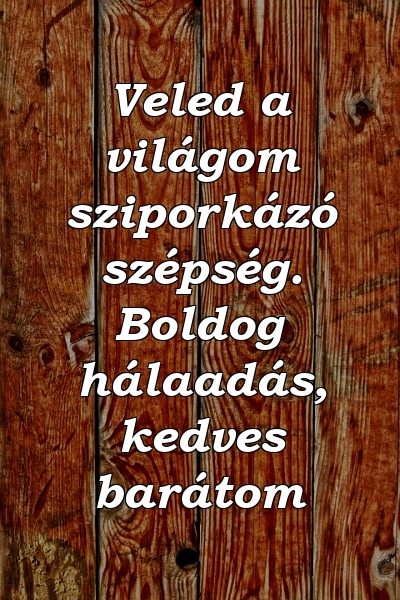 Veled a világom sziporkázó szépség. Boldog hálaadás, kedves barátom