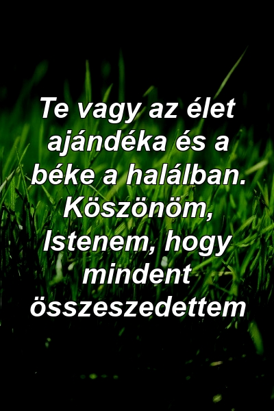 Te vagy az élet ajándéka és a béke a halálban. Köszönöm, Istenem, hogy mindent összeszedettem