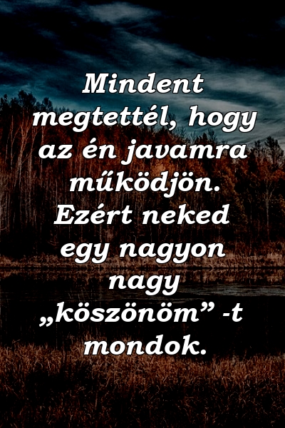 Mindent megtettél, hogy az én javamra működjön. Ezért neked egy nagyon nagy „köszönöm” -t mondok.