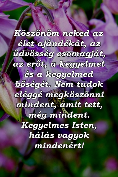 Köszönöm neked az élet ajándékát, az üdvösség csomagját, az erőt, a kegyelmet és a kegyelmed bőségét. Nem tudok eléggé megköszönni mindent, amit tett, még mindent. Kegyelmes Isten, hálás vagyok mindenért!