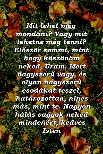 Mit lehet még mondani? Vagy mit lehetne még tenni? Először semmi, mint hogy köszönöm neked, Uram. Mert nagyszerű vagy, és olyan nagyszerű csodákat teszel, határozottan, nincs más, mint te. Nagyon hálás vagyok neked mindenért, kedves Isten