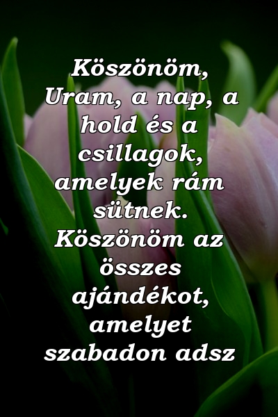 Köszönöm, Uram, a nap, a hold és a csillagok, amelyek rám sütnek. Köszönöm az összes ajándékot, amelyet szabadon adsz