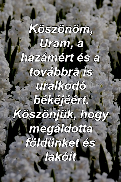 Köszönöm, Uram, a hazámért és a továbbra is uralkodó békéjéért. Köszönjük, hogy megáldotta földünket és lakóit