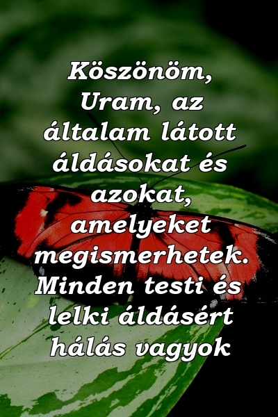 Köszönöm, Uram, az általam látott áldásokat és azokat, amelyeket megismerhetek. Minden testi és lelki áldásért hálás vagyok