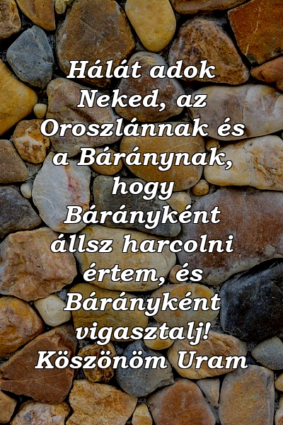 Hálát adok Neked, az Oroszlánnak és a Báránynak, hogy Bárányként állsz harcolni értem, és Bárányként vigasztalj! Köszönöm Uram