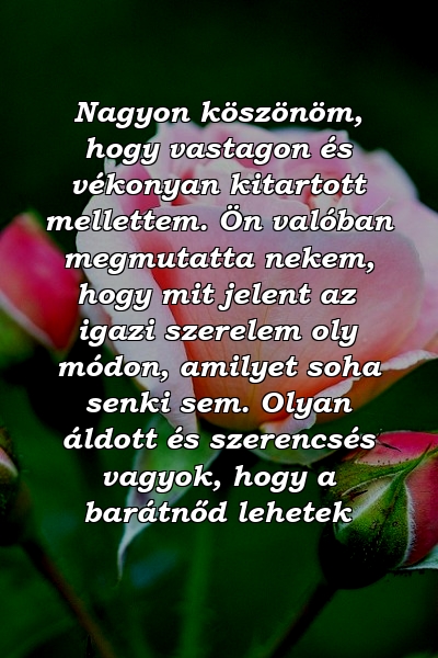 Nagyon köszönöm, hogy vastagon és vékonyan kitartott mellettem. Ön valóban megmutatta nekem, hogy mit jelent az igazi szerelem oly módon, amilyet soha senki sem. Olyan áldott és szerencsés vagyok, hogy a barátnőd lehetek