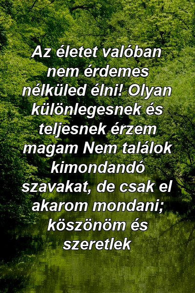 Az életet valóban nem érdemes nélküled élni! Olyan különlegesnek és teljesnek érzem magam Nem találok kimondandó szavakat, de csak el akarom mondani; köszönöm és szeretlek