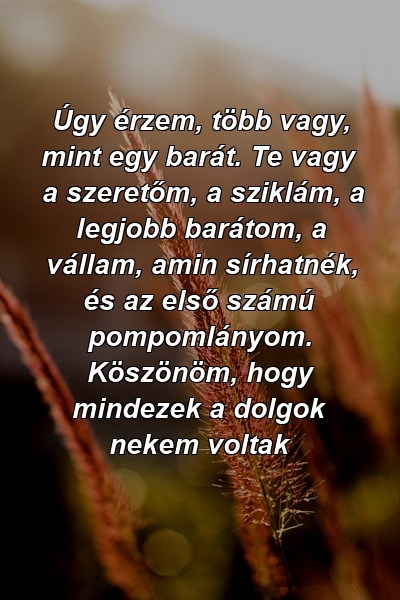 Úgy érzem, több vagy, mint egy barát. Te vagy a szeretőm, a sziklám, a legjobb barátom, a vállam, amin sírhatnék, és az első számú pompomlányom. Köszönöm, hogy mindezek a dolgok nekem voltak