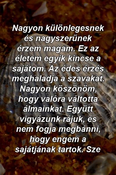 Nagyon különlegesnek és nagyszerűnek érzem magam. Ez az életem egyik kincse a sajátom. Az édes érzés meghaladja a szavakat. Nagyon köszönöm, hogy valóra váltotta álmainkat. Együtt vigyázunk rájuk, és nem fogja megbánni, hogy engem a sajátjának tartok. Sze