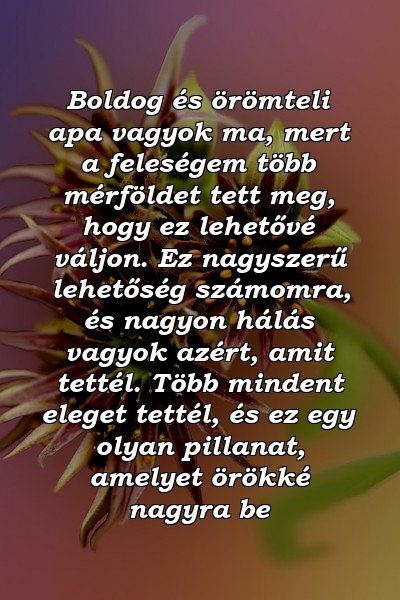 Boldog és örömteli apa vagyok ma, mert a feleségem több mérföldet tett meg, hogy ez lehetővé váljon. Ez nagyszerű lehetőség számomra, és nagyon hálás vagyok azért, amit tettél. Több mindent eleget tettél, és ez egy olyan pillanat, amelyet örökké nagyra be