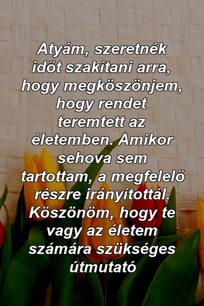 Atyám, szeretnék időt szakítani arra, hogy megköszönjem, hogy rendet teremtett az életemben. Amikor sehova sem tartottam, a megfelelő részre irányítottál. Köszönöm, hogy te vagy az életem számára szükséges útmutató