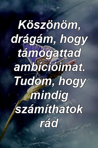 Köszönöm, drágám, hogy támogattad ambícióimat. Tudom, hogy mindig számíthatok rád