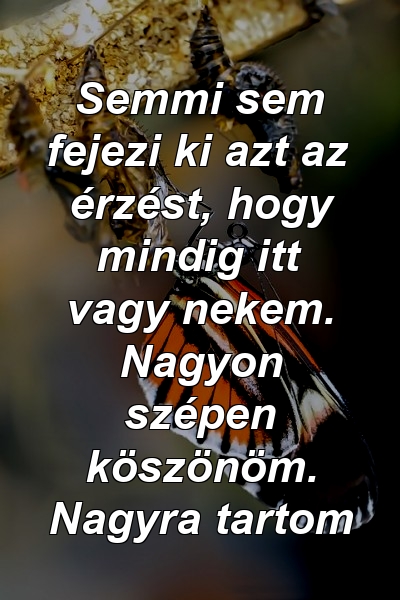 Semmi sem fejezi ki azt az érzést, hogy mindig itt vagy nekem. Nagyon szépen köszönöm. Nagyra tartom