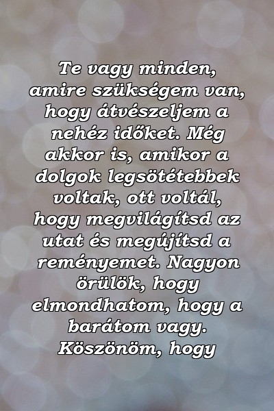 Te vagy minden, amire szükségem van, hogy átvészeljem a nehéz időket. Még akkor is, amikor a dolgok legsötétebbek voltak, ott voltál, hogy megvilágítsd az utat és megújítsd a reményemet. Nagyon örülök, hogy elmondhatom, hogy a barátom vagy. Köszönöm, hogy