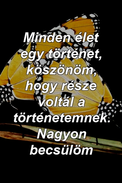 Minden élet egy történet, köszönöm, hogy része voltál a történetemnek. Nagyon becsülöm